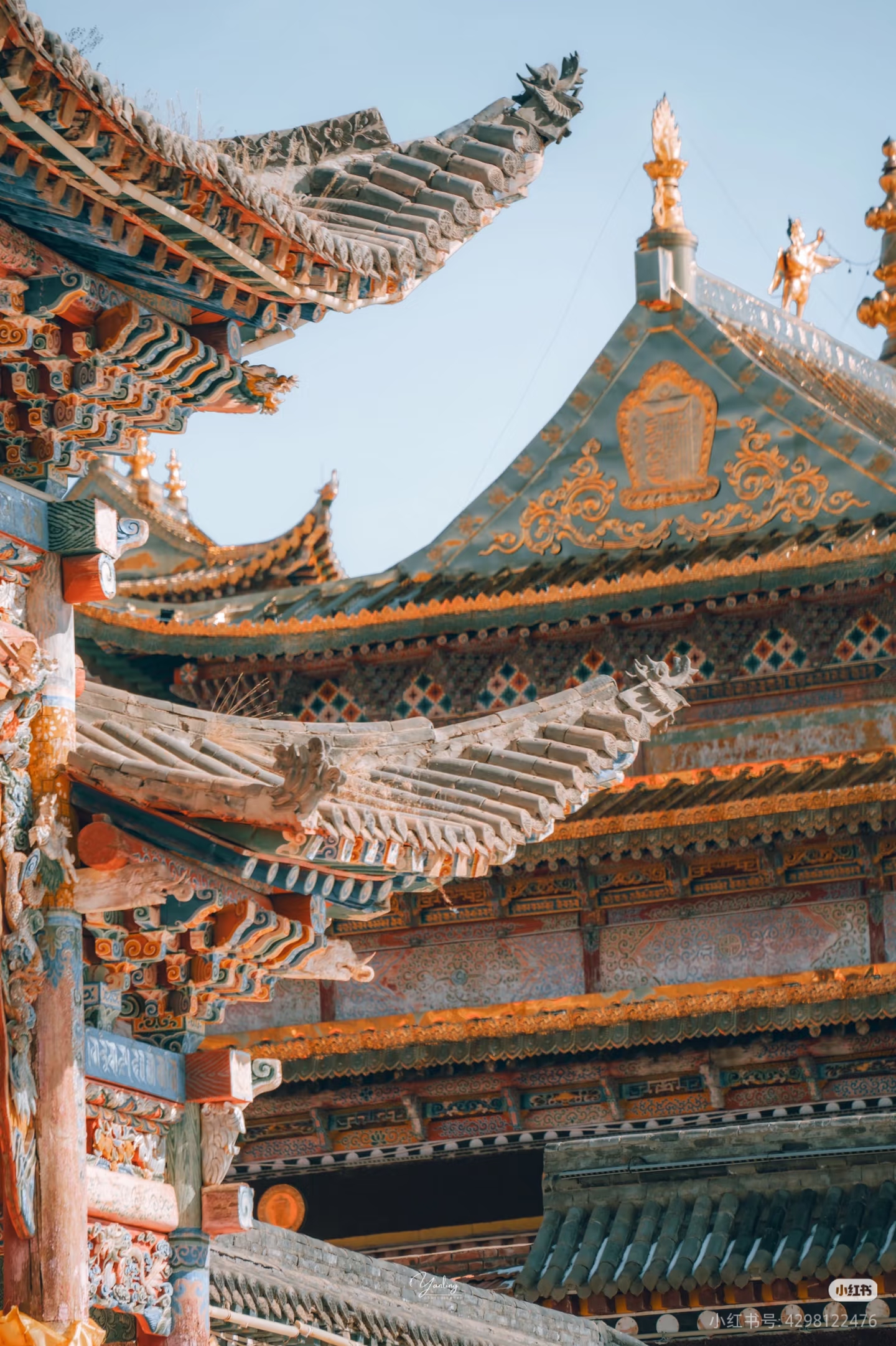 文章图片